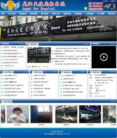 咸陽天使寵物醫(yī)院攜手萬企互聯(lián) 專業(yè)數(shù)字營銷與動(dòng)漫設(shè)計(jì)賦能品牌新生態(tài)